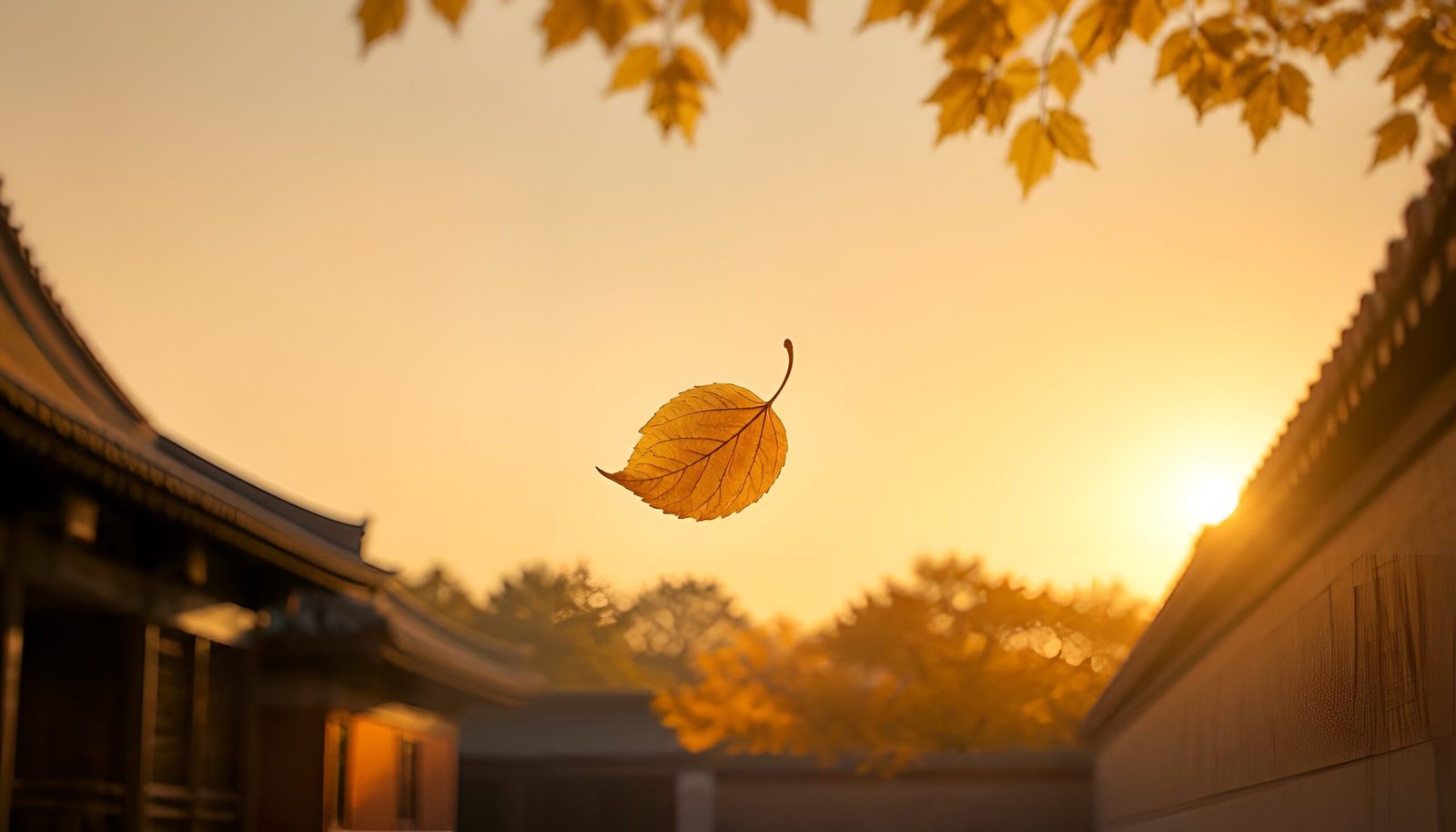 A single autumn leaf falling from a tree - Buddha's teaching on death and maranasati