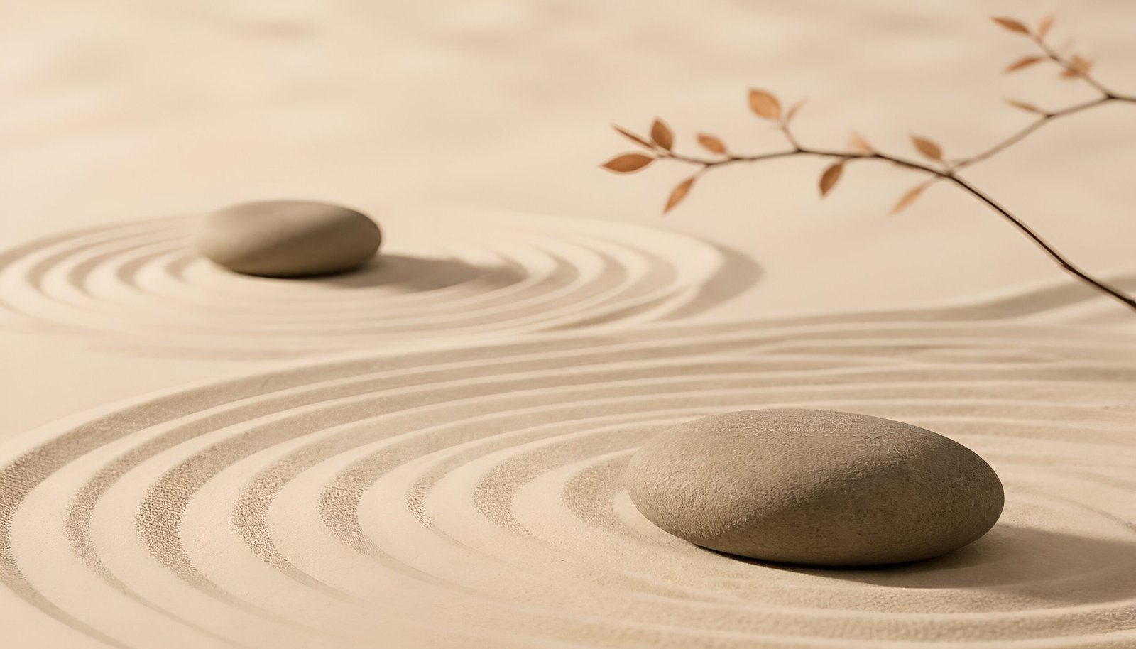 What Zen Actually Means (Not the Aesthetic Version)